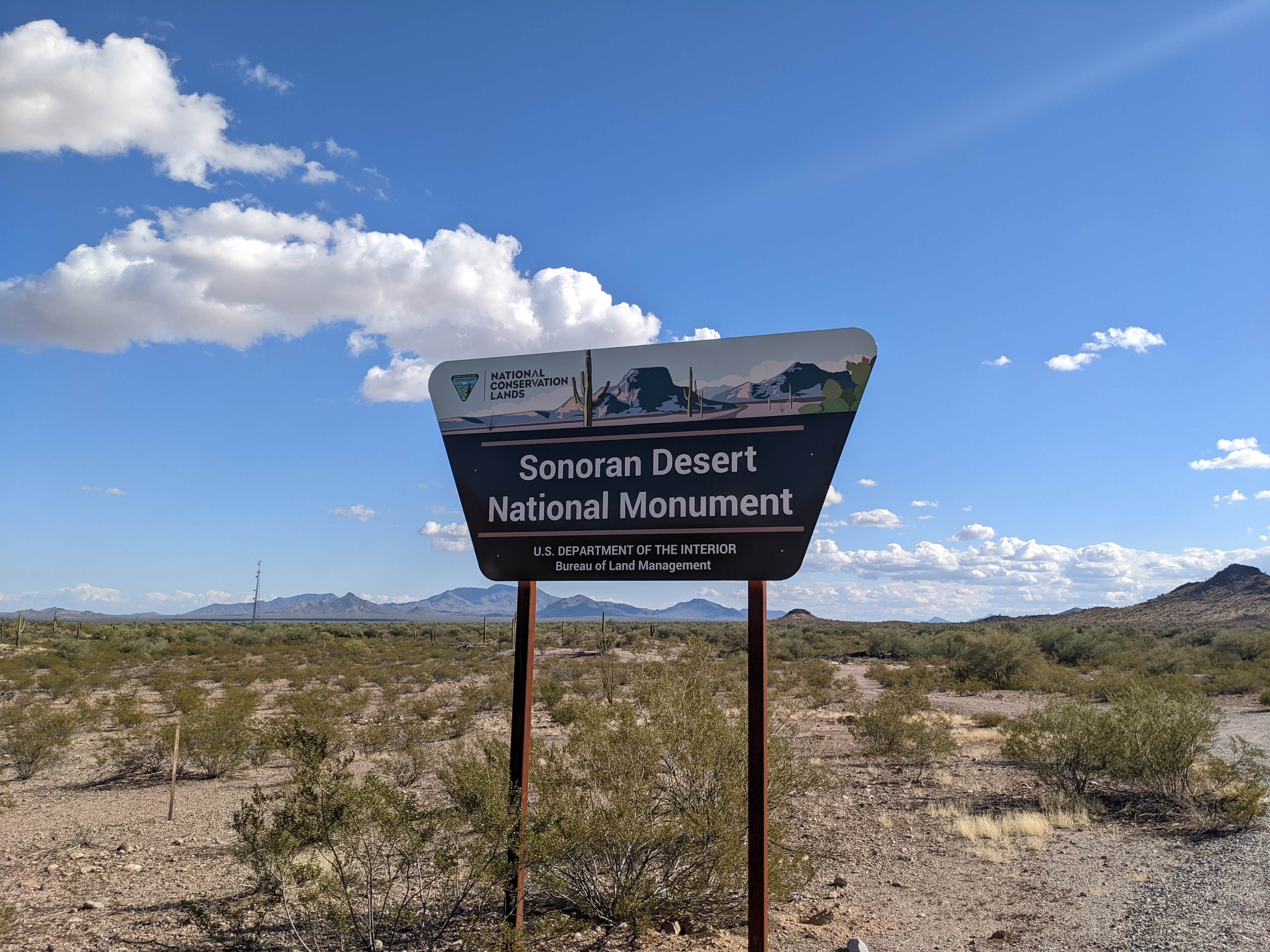 Camper submitted image from BLM Sonoran Desert National Monument - Freeman Road Exit #140 Dispersed Camping Area - 4