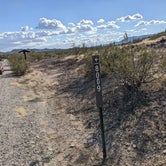 Review photo of Sonoran Desert National Monument Camp by Greg L., January 19, 2022