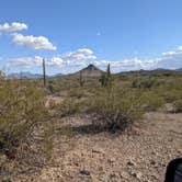 Review photo of BLM Sonoran Desert National Monument - Freeman Road Exit #140 Dispersed Camping Area by Greg L., January 19, 2022