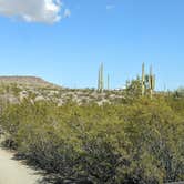 Review photo of BLM Sonoran Desert National Monument - Freeman Road Exit #140 Dispersed Camping Area by Greg L., January 19, 2022