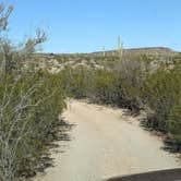 Review photo of BLM Sonoran Desert National Monument - Freeman Road Exit #140 Dispersed Camping Area by Greg L., January 19, 2022