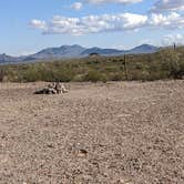 Review photo of BLM Sonoran Desert National Monument - Freeman Road Exit #140 Dispersed Camping Area by Greg L., January 19, 2022