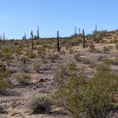 Review photo of BLM Sonoran Desert National Monument - Freeman Road Exit #140 Dispersed Camping Area by Greg L., January 19, 2022