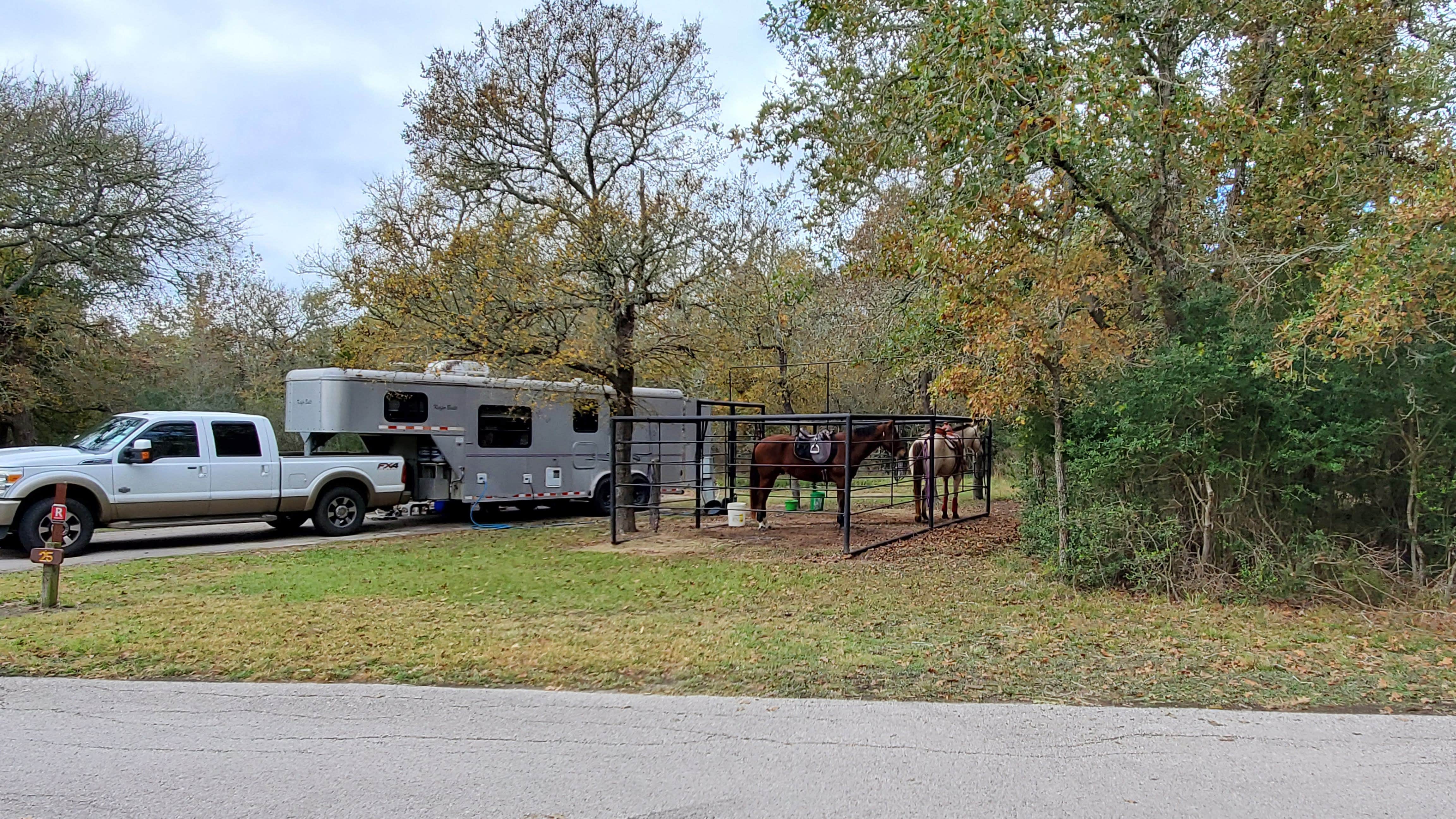 Denise V.'s photo of camping with a horse at Lake Somerville State Park Nails Creek Unit Campground near Cedar Creek, TX