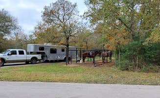 Denise V.'s photo of camping with a horse at Lake Somerville State Park Nails Creek Unit Campground in Texas