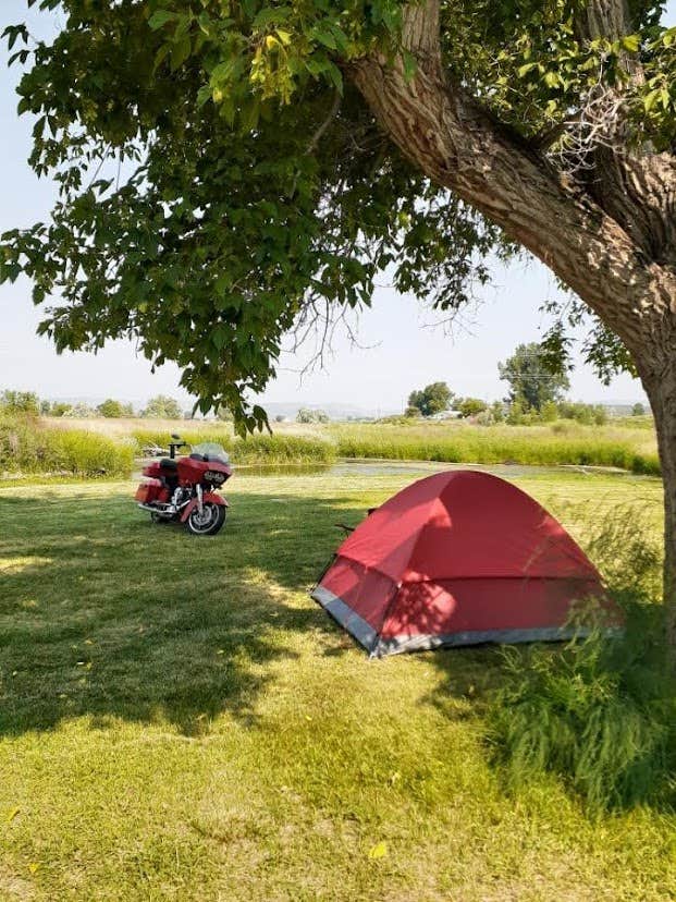 Camper-submitted photo at River Camp RV Park near Silt, CO