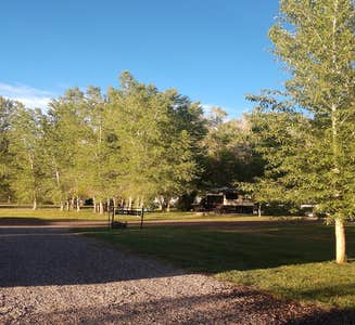Camper-submitted photo from River Camp RV Park