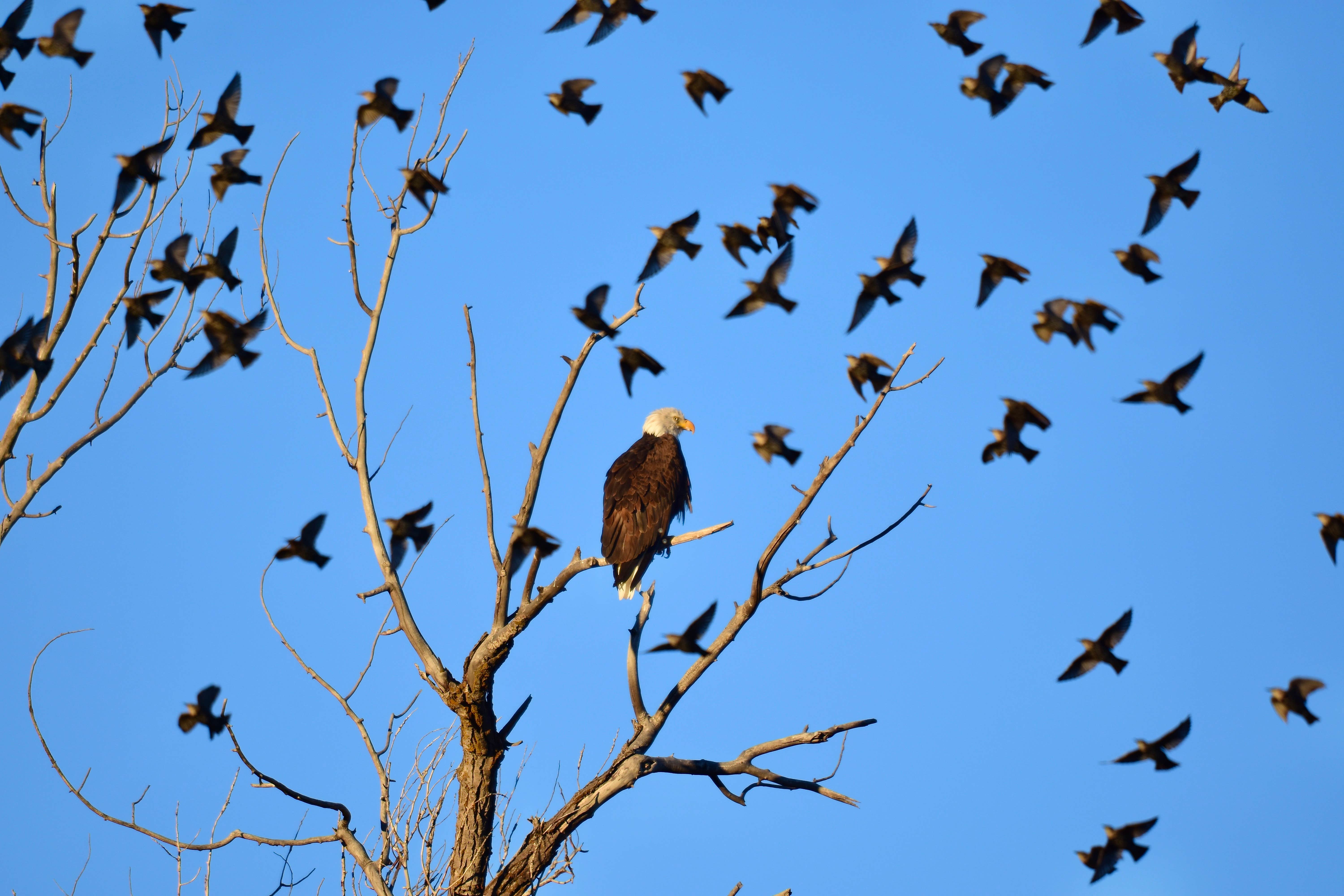 Camper-submitted photo at River Camp RV Park near Silt, CO