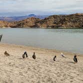 Review photo of Lake Mohave - Nevada Telephone Cove — Lake Mead National Recreation Area by Noel S., January 20, 2022