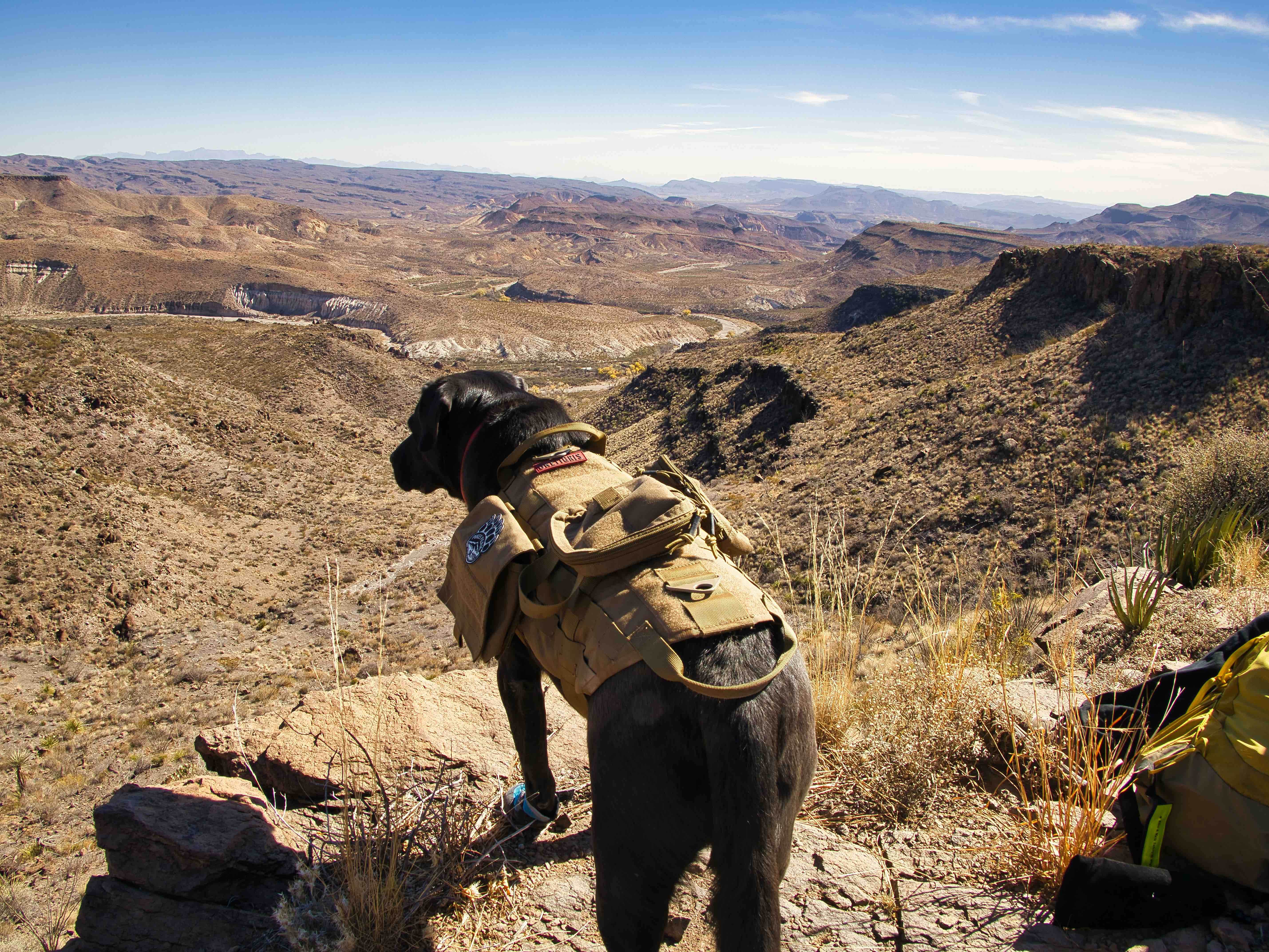 Camper submitted image from Chorro Vista Big Bend Ranch State Park Camping - 4