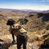 Review photo of Interior Primitive Sites — Big Bend Ranch State Park by Russell , January 20, 2022