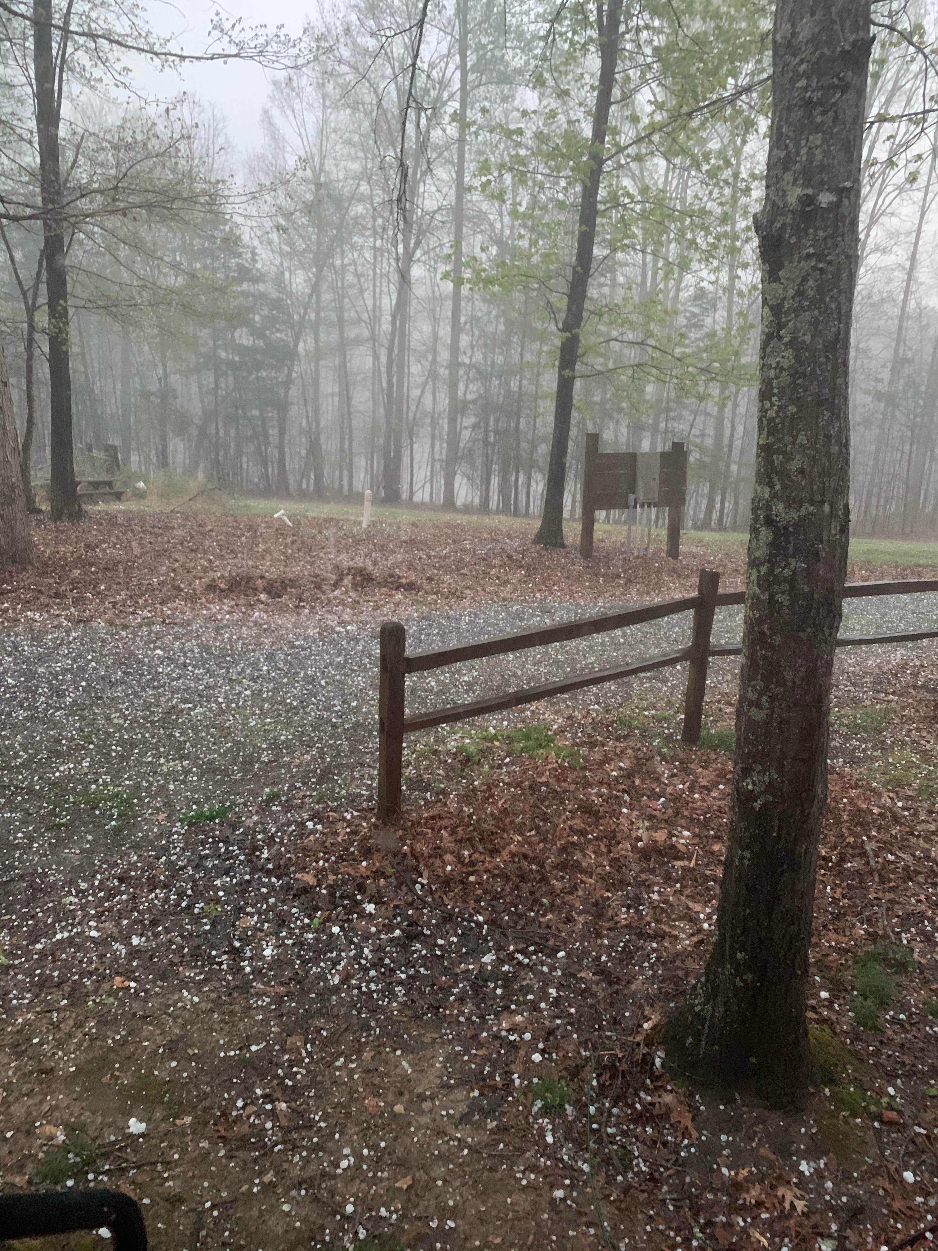 Camper submitted image from Paradise Lake & Campground - 3