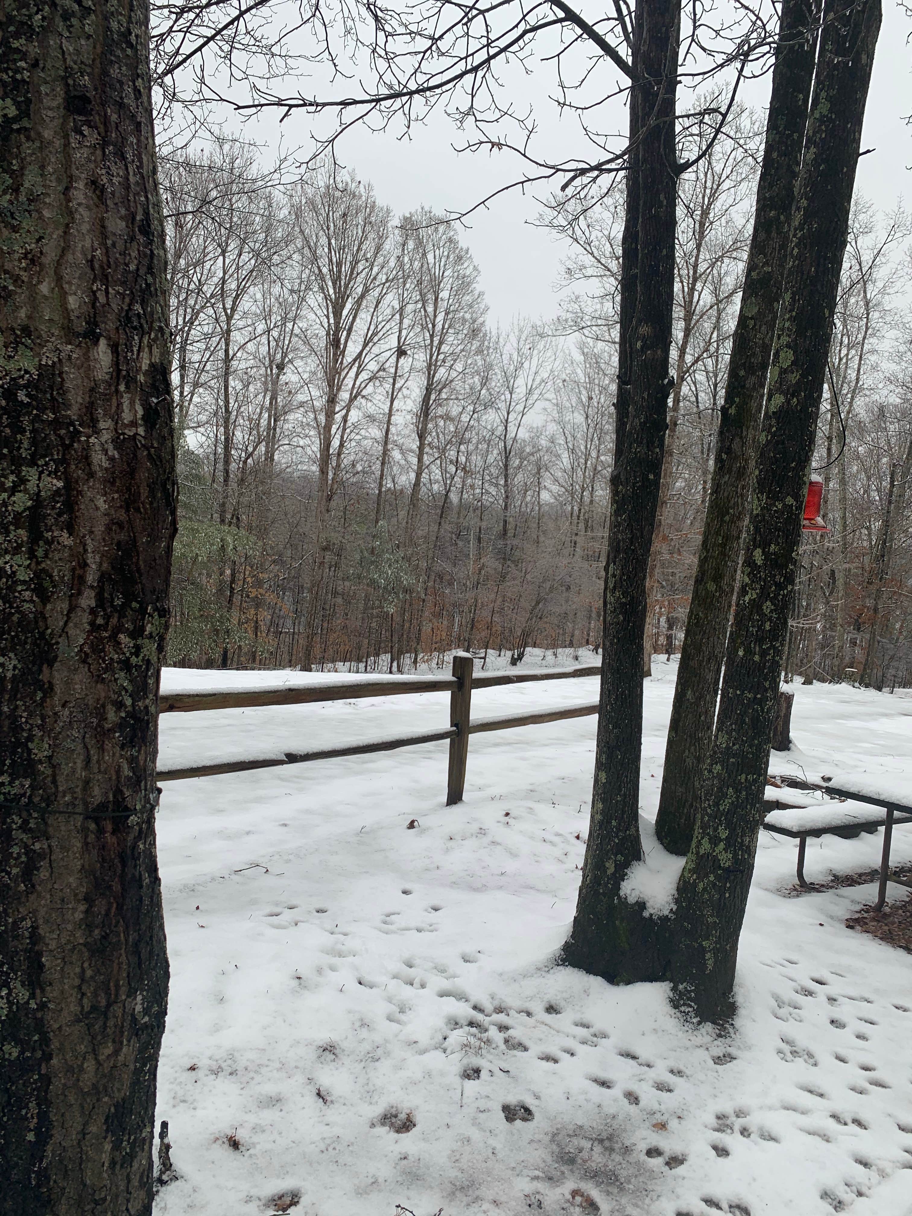 Camper-submitted photo at Paradise Lake & Campground near Eden, NC
