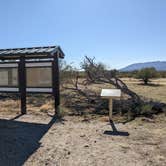 Review photo of BLM Sonoran Desert National Monument - Road #8011 Overlander Dispersed camping by Greg L., January 20, 2022