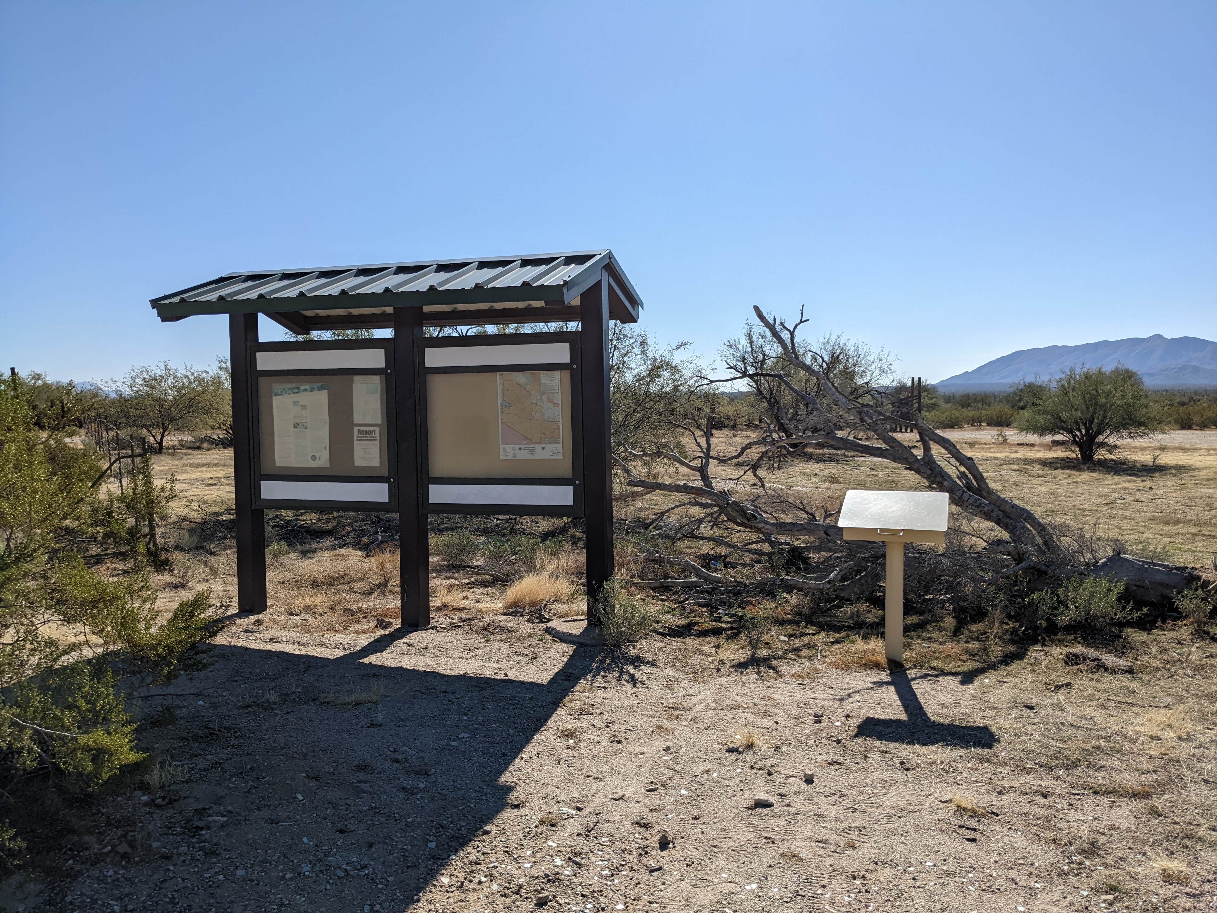 Camper submitted image from BLM Sonoran Desert National Monument - Road #8011 Overlander Dispersed camping - 3