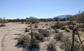 Camping near Sonoran Desert RV Park: BLM Sonoran Desert National Monument - Road #8011 Overlander Dispersed camping , Gila Bend, Arizona