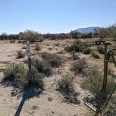 Review photo of BLM Sonoran Desert National Monument - Road #8011 Overlander Dispersed camping by Greg L., January 20, 2022