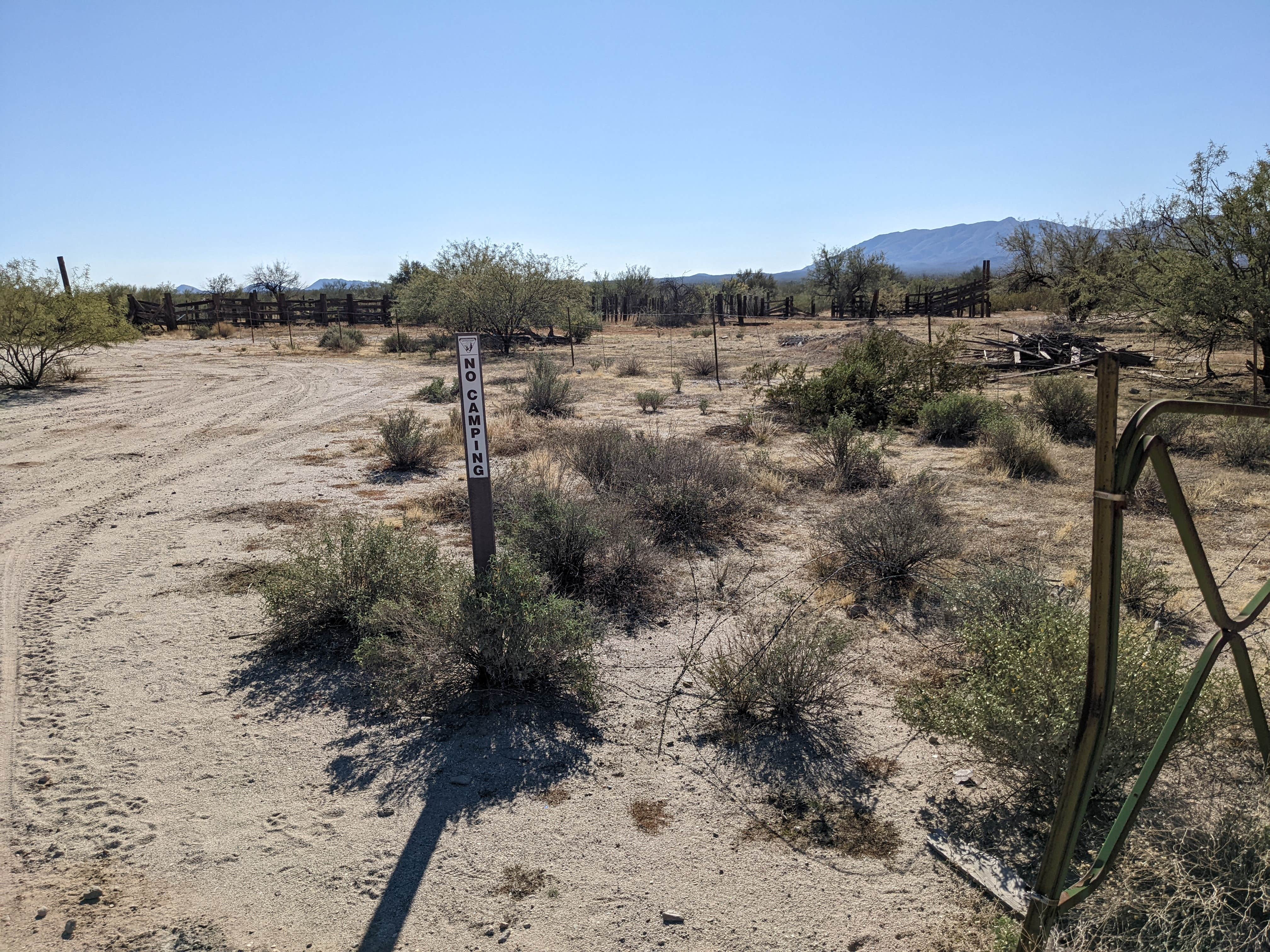 Camper submitted image from BLM Sonoran Desert National Monument - Road #8011 Overlander Dispersed camping - 1