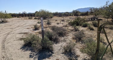 BLM Sonoran Desert National Monument - Road #8011 Overlander Dispersed camping 