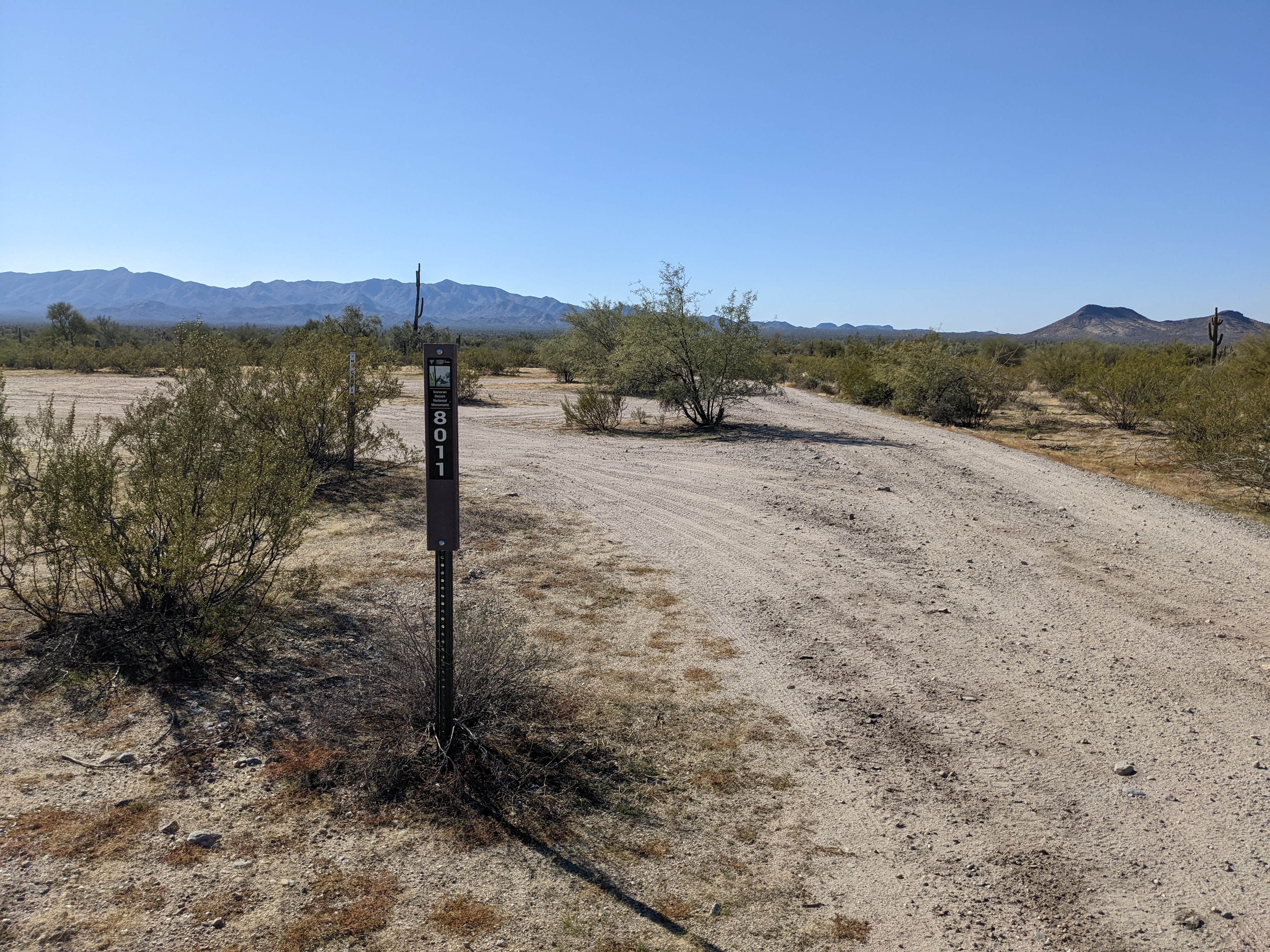 Camper submitted image from BLM Sonoran Desert National Monument - Road #8011 Overlander Dispersed camping - 2