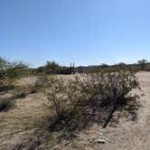 Review photo of BLM Sonoran Desert National Monument - Road #8011 Overlander Dispersed camping by Greg L., January 20, 2022