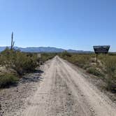 Review photo of BLM Sonoran Desert National Monument - Road #8011 Overlander Dispersed camping by Greg L., January 20, 2022