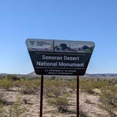 Review photo of BLM Sonoran Desert National Monument - Road #8011 Overlander Dispersed camping by Greg L., January 20, 2022