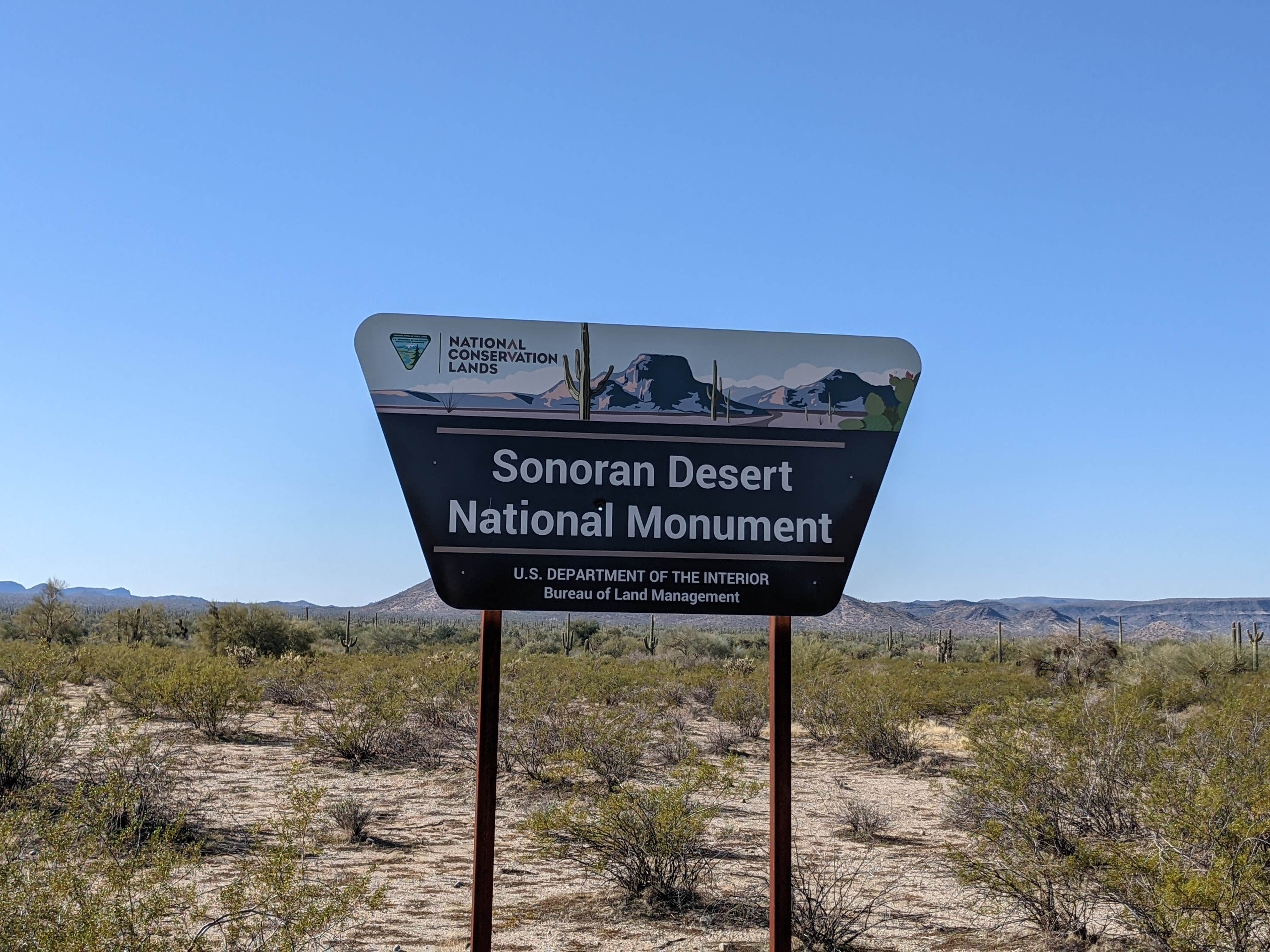 Camper submitted image from BLM Sonoran Desert National Monument - Road #8011 Overlander Dispersed camping - 4