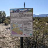 Review photo of BLM Sonoran Desert National Monument - Road #8011 Overlander Dispersed camping by Greg L., January 20, 2022