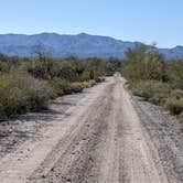 Review photo of BLM Sonoran Desert National Monument - Road #8011 Overlander Dispersed camping by Greg L., January 20, 2022