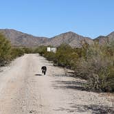 Review photo of BLM Sonoran Desert National Monument - Road #8011 Overlander Dispersed camping by Greg L., January 20, 2022