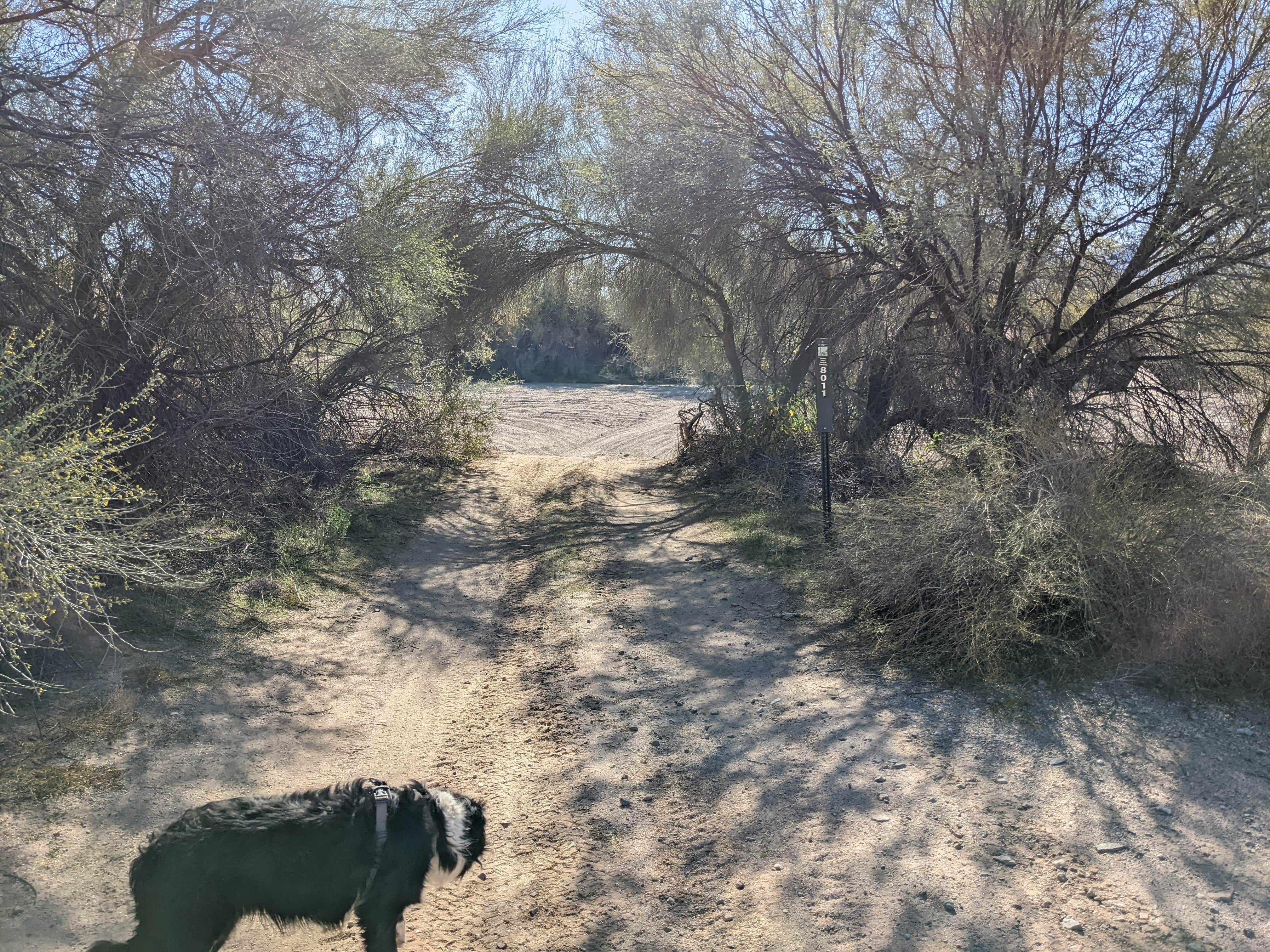 Camper-submitted photo at BLM Sonoran Desert National Monument - Road #8011 Overlander Dispersed camping near Maricopa, AZ