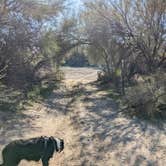 Review photo of BLM Sonoran Desert National Monument - Road #8011 Overlander Dispersed camping by Greg L., January 20, 2022