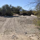 Review photo of BLM Sonoran Desert National Monument - Road #8011 Overlander Dispersed camping by Greg L., January 20, 2022