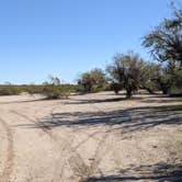 Review photo of BLM Sonoran Desert National Monument - Road #8011 Overlander Dispersed camping by Greg L., January 20, 2022