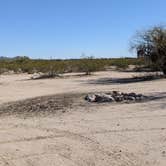 Review photo of BLM Sonoran Desert National Monument - Road #8011 Overlander Dispersed camping by Greg L., January 20, 2022