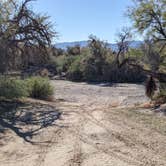 Review photo of BLM Sonoran Desert National Monument - Road #8011 Overlander Dispersed camping by Greg L., January 20, 2022