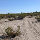 Review photo of BLM Sonoran Desert National Monument - Road #8011 Overlander Dispersed camping by Greg L., January 20, 2022