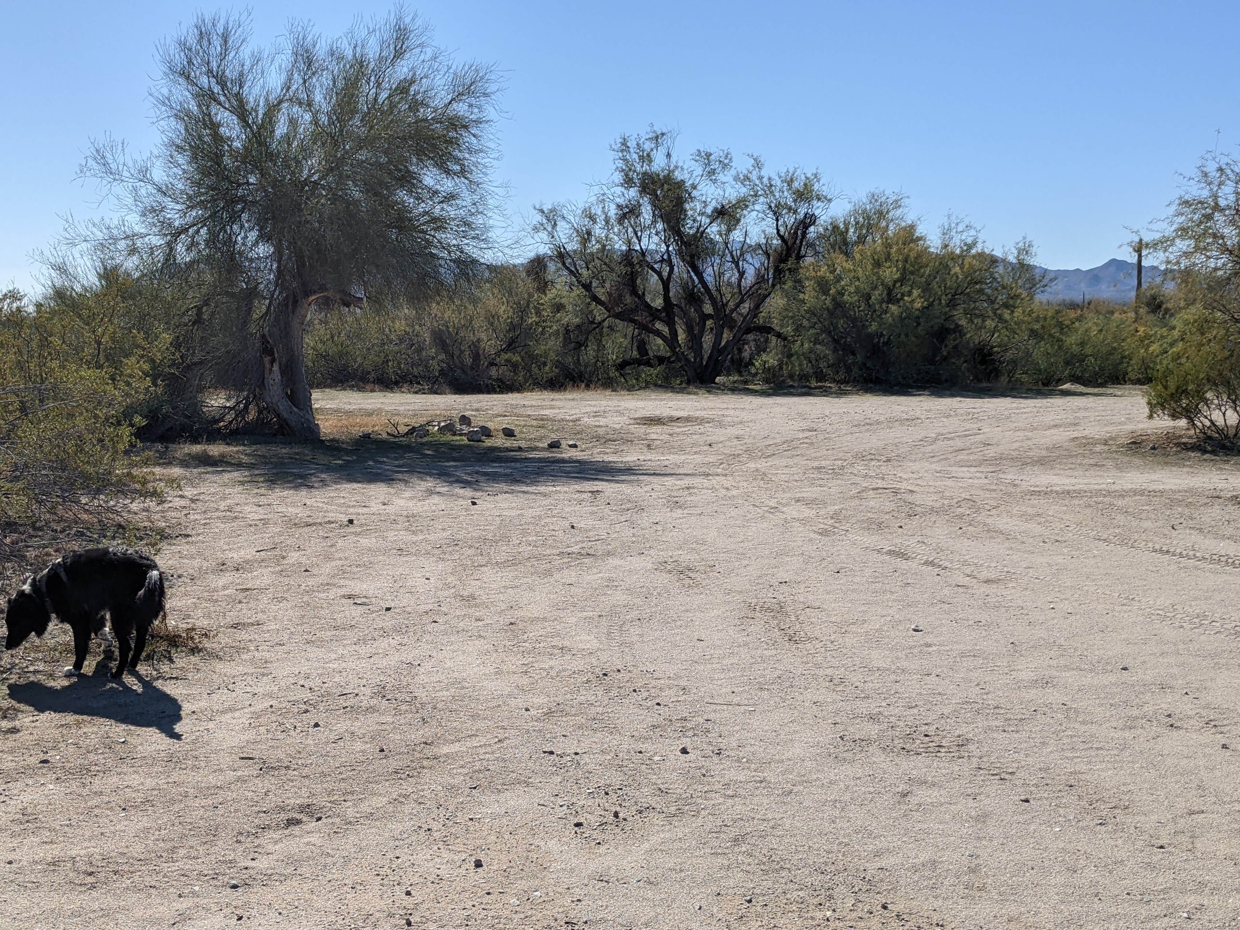 Camper-submitted photo at BLM Sonoran Desert National Monument - Road #8011 Overlander Dispersed camping near Maricopa, AZ