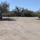 Review photo of BLM Sonoran Desert National Monument - Road #8011 Overlander Dispersed camping by Greg L., January 20, 2022