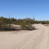 Review photo of BLM Sonoran Desert National Monument - Road #8011 Overlander Dispersed camping by Greg L., January 20, 2022