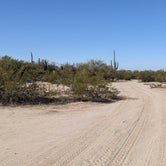Review photo of BLM Sonoran Desert National Monument - Road #8011 Overlander Dispersed camping  by Greg L., January 20, 2022