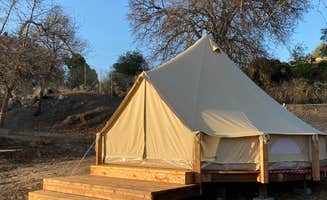 Lisa's photo at Clear Lake Campground near Rumsey, CA