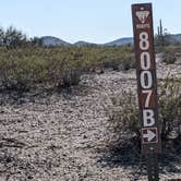 Review photo of BLM Sonoran Desert National Monument - Vekol Road Dispersed Camping Area by Greg L., January 18, 2022