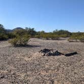 Review photo of BLM Sonoran Desert National Monument - Vekol Road Dispersed Camping Area by Greg L., January 18, 2022