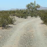 Review photo of BLM Sonoran Desert National Monument - Vekol Road Dispersed Camping Area by Greg L., January 18, 2022