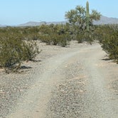 Review photo of BLM Sonoran Desert National Monument - Vekol Road Dispersed Camping Area  by Greg L., January 18, 2022