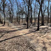 Review photo of Isle du Bois — Ray Roberts Lake State Park by Steve S., January 21, 2022