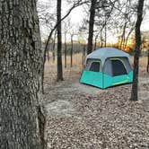 Review photo of Isle du Bois — Ray Roberts Lake State Park by Steve S., January 21, 2022