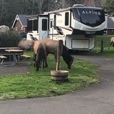 Review photo of Cannon Beach RV Resort by Mari H., January 21, 2022